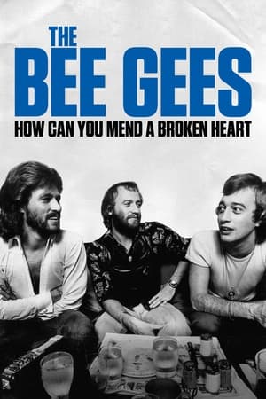 Poster Bee Gees - Brüder im Discofieber 2020
