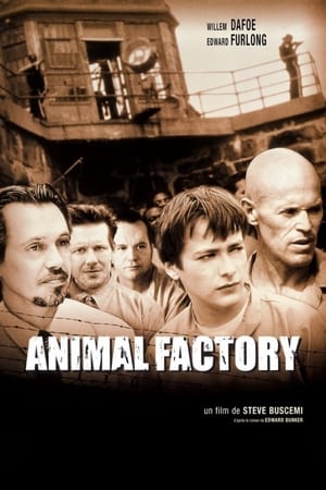 Poster Animal Factory 2000
