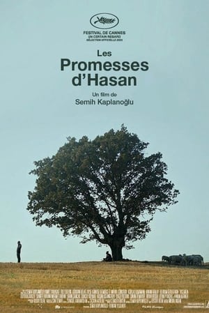 Image Les Promesses d’Hasan