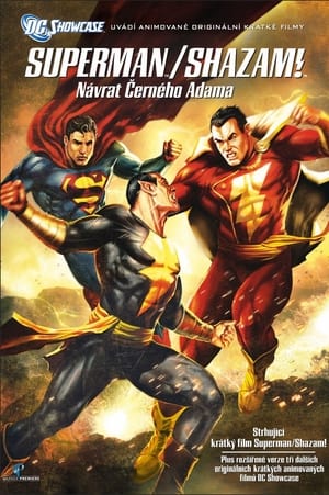 Poster Superman/Shazam!: Návrat černého Adama 2010