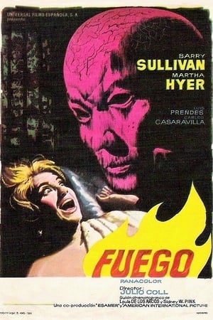 Poster Fuego 1964