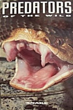 Poster Predators of the Wild: Snake 1993