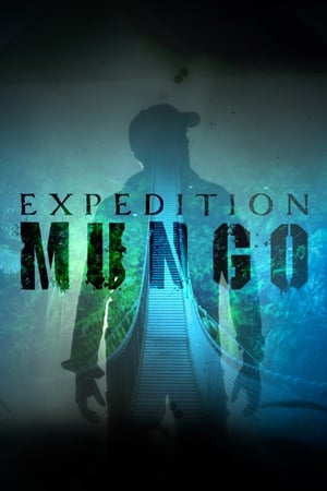 Image Mungo, a rejtélyvadász