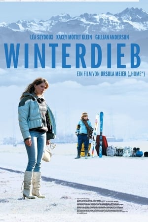 Poster Winterdieb 2012