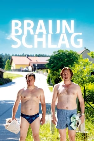 Poster Braunschlag 2012