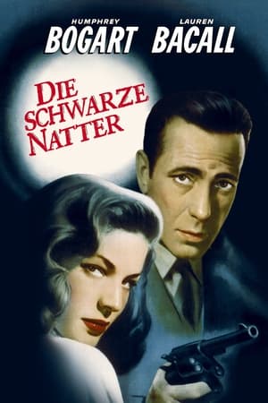 Poster Die schwarze Natter 1947