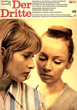 Poster Der Dritte 1972