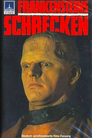Poster Frankensteins Schrecken 1970