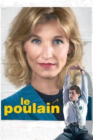 Poster Le Poulain 2018