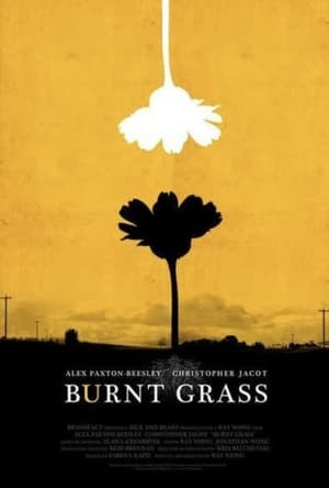 Poster Burnt Grass 2014