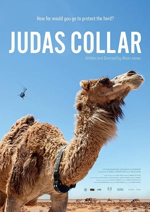 Poster Judas Collar 2018