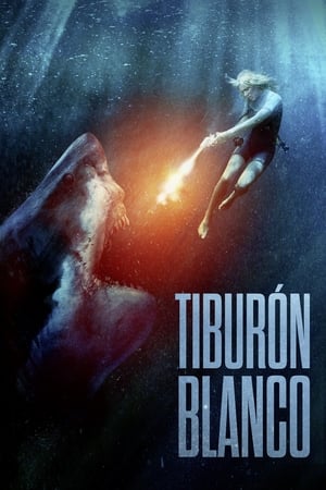 Poster Tiburón blanco 2021