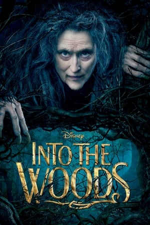 Poster Into the Woods 2014