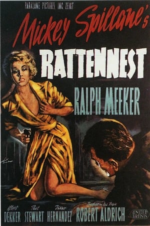 Poster Rattennest 1955