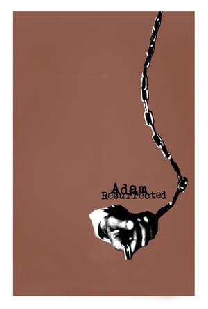 Poster 애덤 레져렉티드 2008