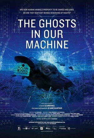 Poster The Ghosts in Our Machine 2013