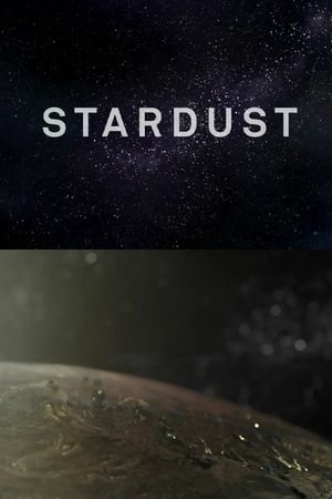 Image Stardust
