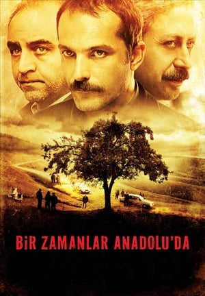 Poster Якось в Анатолії 2011