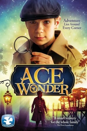 Poster Ace Wonder 2014
