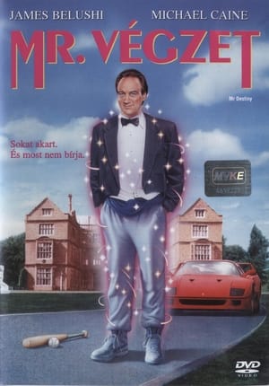 Poster Mr. Végzet 1990