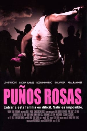 Poster Puños rosas 2004