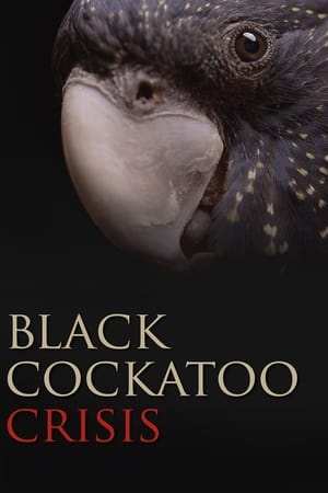 Poster Black Cockatoo Crisis 2022