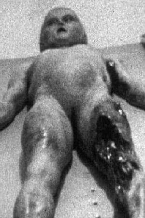 Image The Alien Autopsy