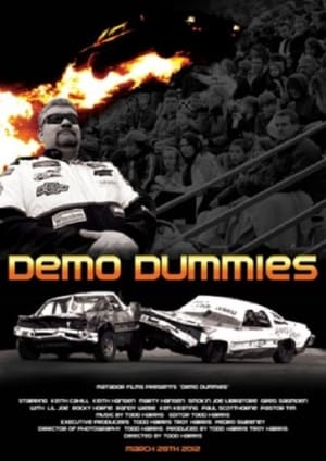 Poster Demo Dummies 2012