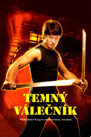 Poster Temný válečník 2007