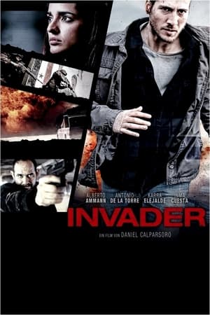 Poster Invader 2012