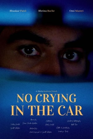 Poster No Crying in the Car 