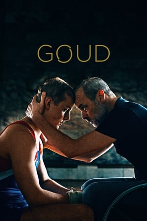 Poster Goud 2020