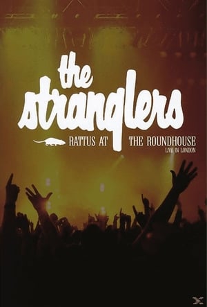 Image The Stranglers - Rattus at the Roundhouse