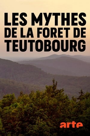 Image Secret Teutoburg Forest