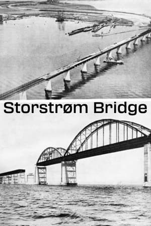Image Storstrøm Bridge