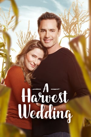 Image A Harvest Wedding