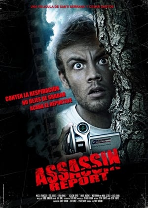 Poster Assassin Report 2013