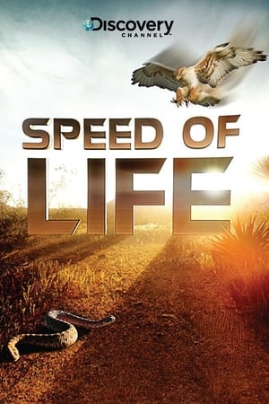 Poster Speed of Life 2010