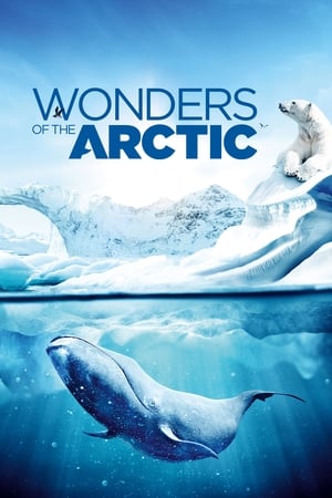 Poster Wonders of the Arctic 2014