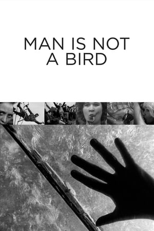 Image Människan är ingen fågel