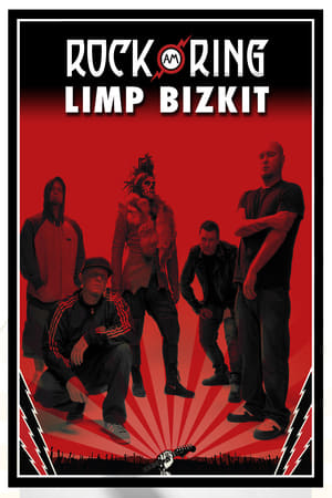 Poster Limp Bizkit - Live at Rock am Ring 2013