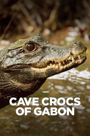Poster Cave Crocs of Gabon 2018