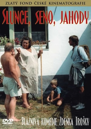 Poster Slunce, seno, jahody 1984