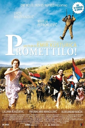 Poster Promettilo! 2007