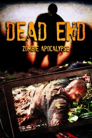 Poster Dead End 2011