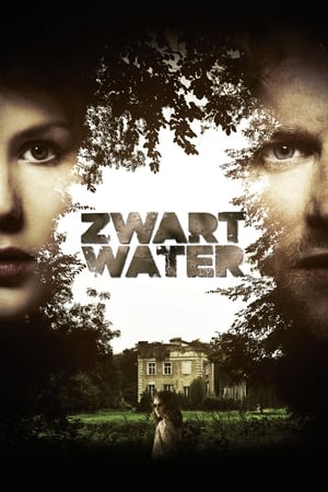 Poster Zwart Water 2010