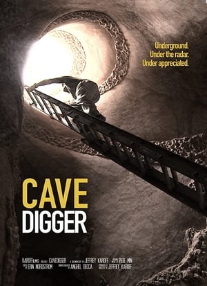 Poster Cavedigger 2013