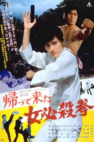 Poster The Return of Sister Street Fighter 1975