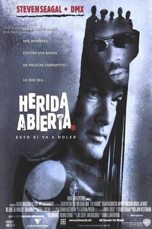 Poster Herida Abierta 2001