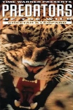 Poster Predators of the Wild: Cheetah and Leopard 1992